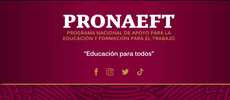 Pronaeft